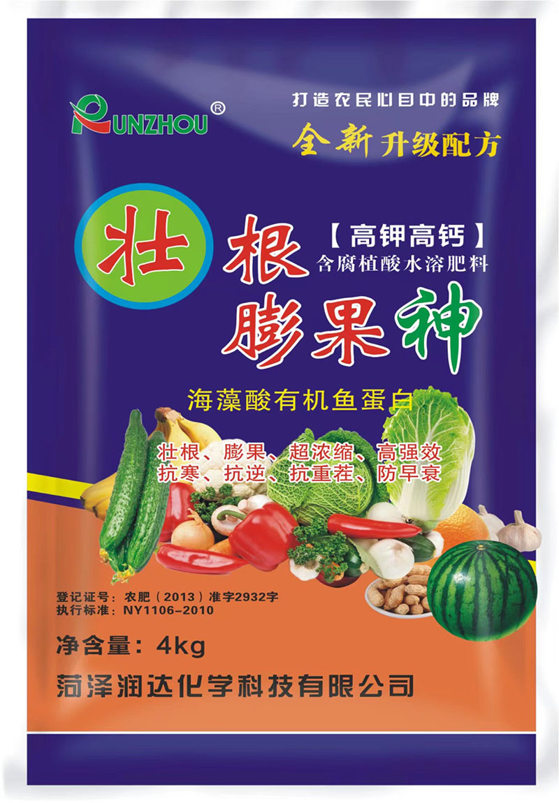 壯根膨果神